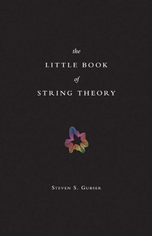 کتاب کوچک نظریه ریسمان